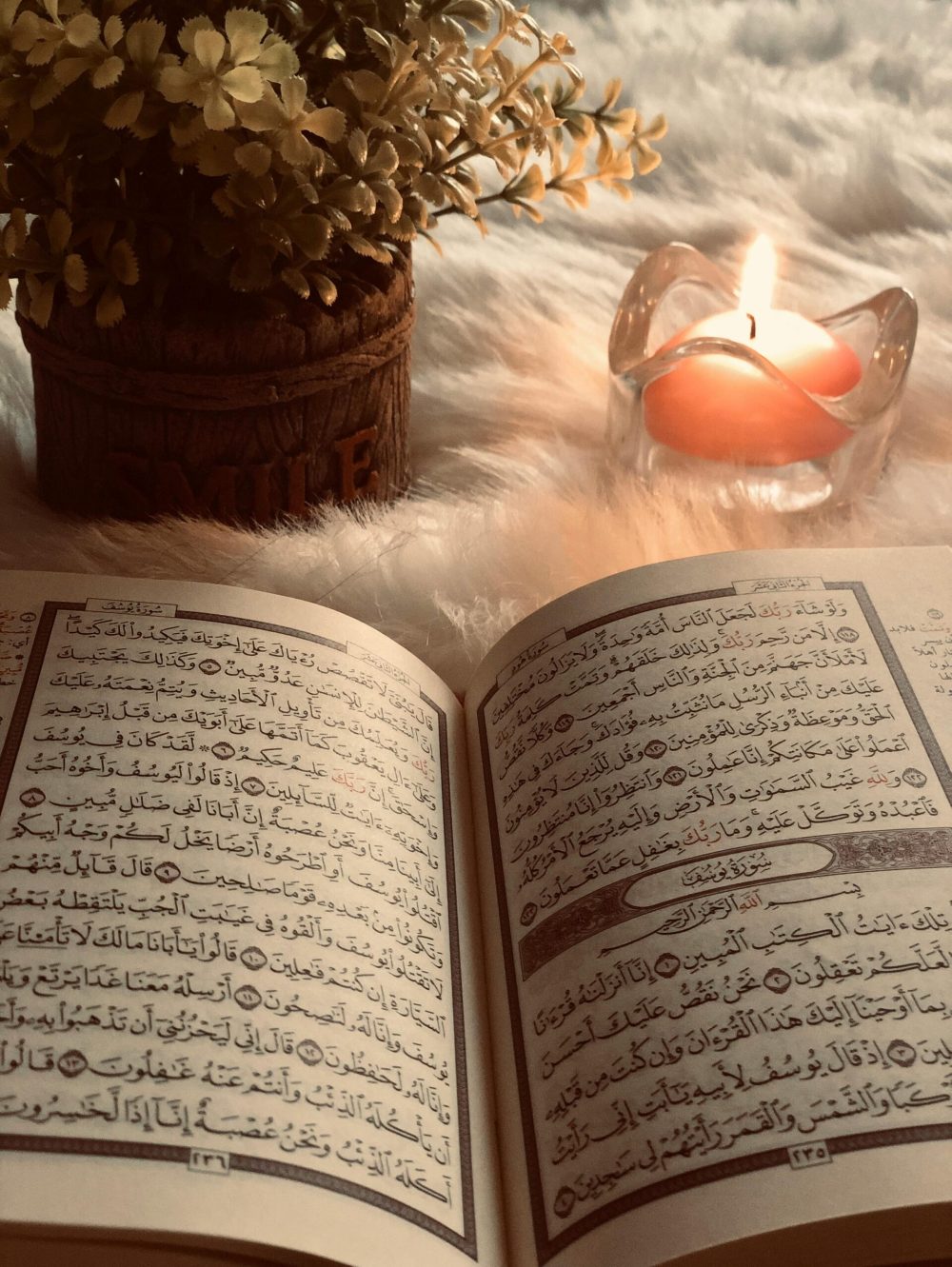 pexels-fatemah-khaled-2236514-3936216